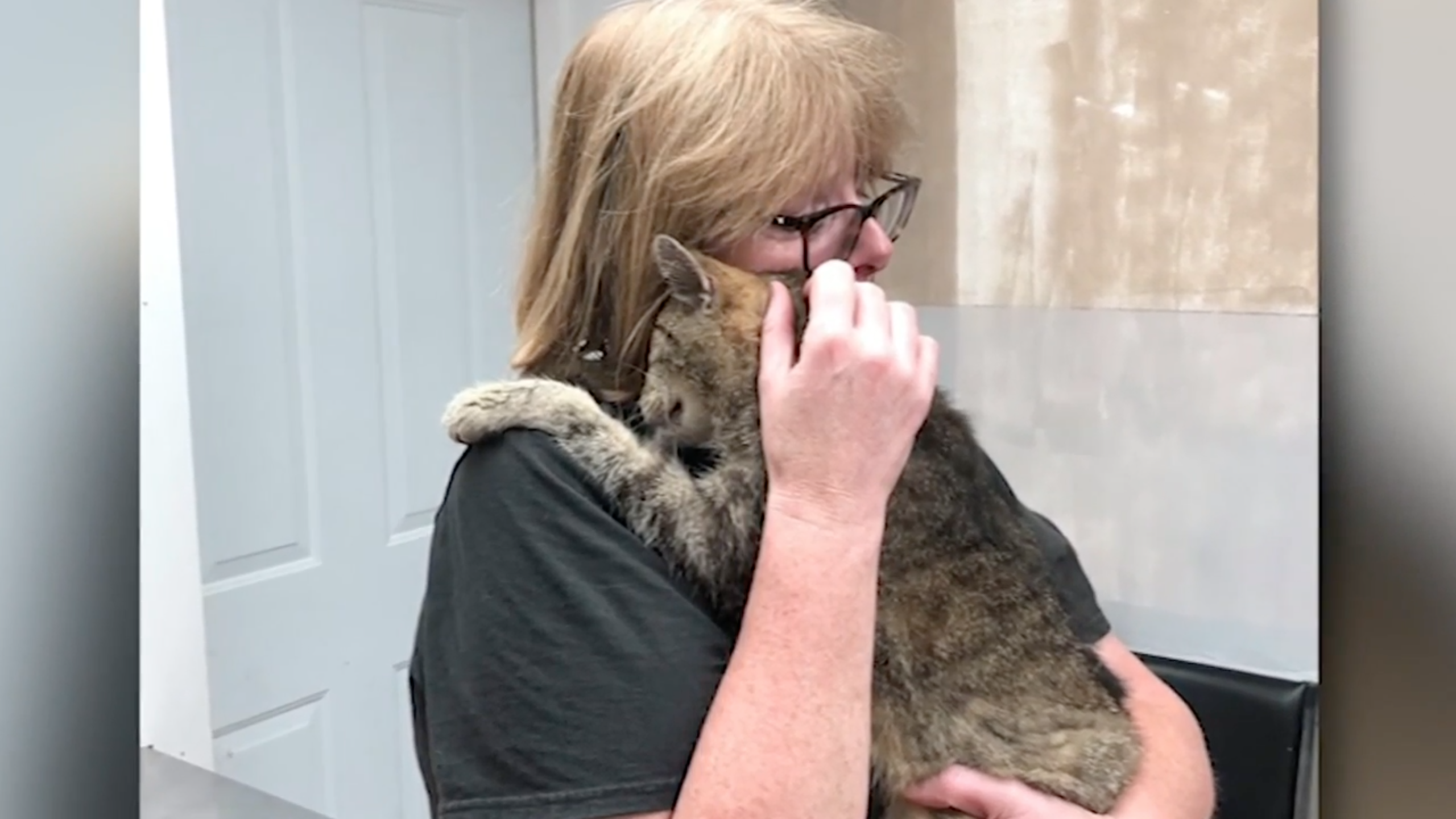 Безмолвные следы