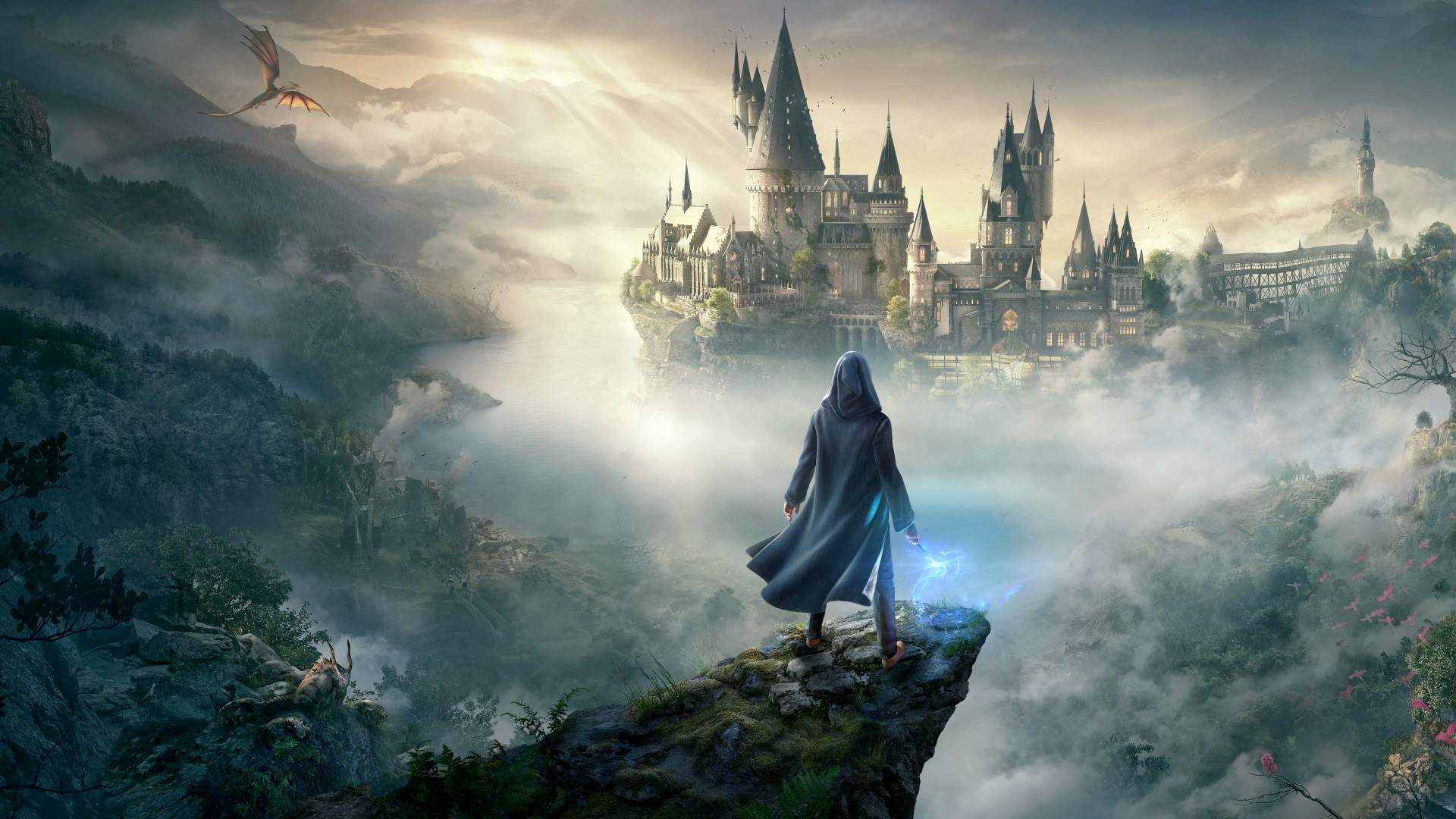 Купить Игру Harry Potter Hogwarts Legacy Ps4