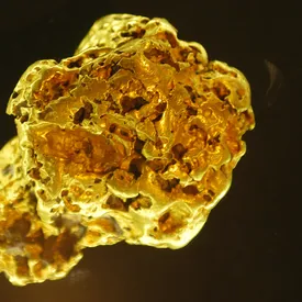 Из Музея естественной истории в Париже украли золотые самородки на 600 тысяч евро Из Музея естественной истории в Париже украли золотые самородки на 600 тысяч евро