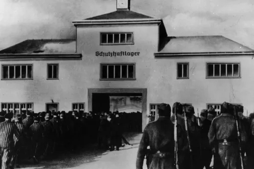 В Германии 100-летнего бывшего эсэсовца обвинили в причастности к 3518 убийствам в концлагере