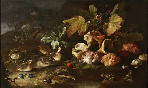 Паоло Порпора, «Натюрморт с грибами»,