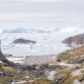 В конгресс США внесли законопроект об «аннексии Гренландии»