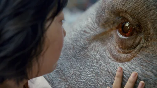 Okja Okja
