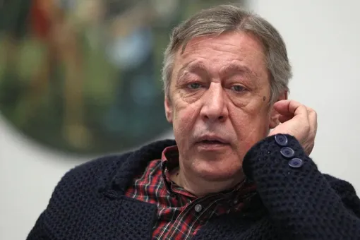 Представитель Михаила Ефремова опровергла сообщения о миллионном контракте актера Представитель Михаила Ефремова опровергла сообщения о миллионном контракте актера