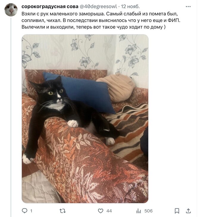 Соцсети Соцсети