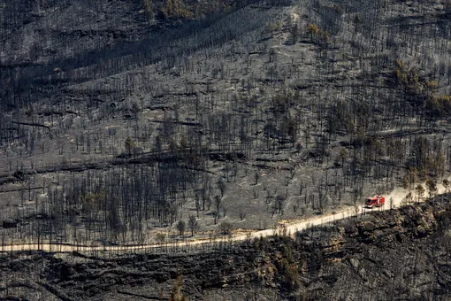 Последствия лесного пожара на севере Барселоны.