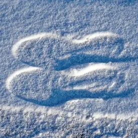 Стало известно, когда в Москве может выпасть первый снег Стало известно, когда в Москве может выпасть первый снег