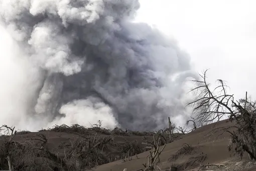 In this Jan. 14, 2020, photo, Taal volcano spews ash on the volcano island in Talisay, Batangas province, southern Philippines. The volcano near the Philippine capital spewed lava into the sky and trembled constantly Tuesday, possibly portending a bigger and more dangerous eruption, as tens of thousands of people fled villages darkened and blanketed by heavy ash.(AP Photo/Basilio Sepe)