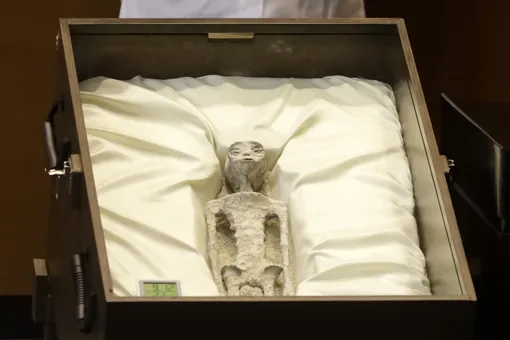 На слушаниях в конгрессе Мексики показали «мумии пришельцев». Уфолог утверждает, что останкам около тысячи лет