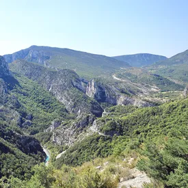 77-летний велосипедист упал в очень глубокий овраг и провел там три дня