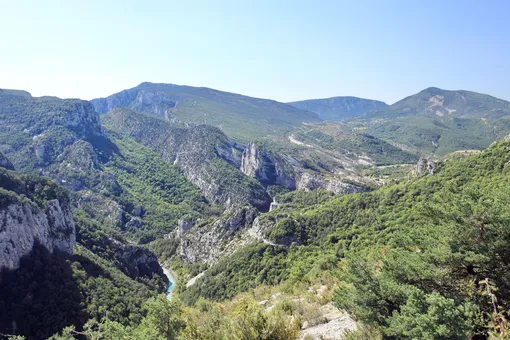 77-летний велосипедист упал в очень глубокий овраг и провел там три дня 77-летний велосипедист упал в очень глубокий овраг и провел там три дня