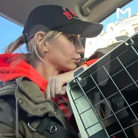 В Москве оштрафовали на 4 тысячи рублей зоозащитницу, помогавшую спасать котенка из запертой машины В Москве оштрафовали на 4 тысячи рублей зоозащитницу, помогавшую спасать котенка из запертой машины