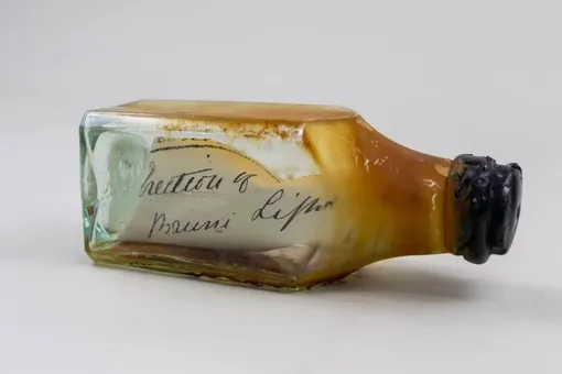 В Австралии нашли в стене маяка 122-летнее послание в бутылке В Австралии нашли в стене маяка 122-летнее послание в бутылке