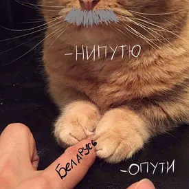 Дуэт Лукашенко с Януковичем и Грустный Коленька: белорусские протесты — в мемах Дуэт Лукашенко с Януковичем и Грустный Коленька: белорусские протесты — в мемах