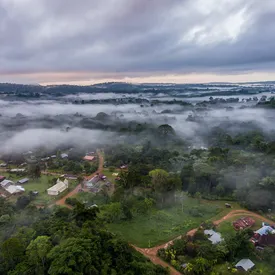 Девять правил жизни Французской Гвианы