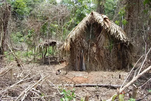 В Бразилии умер абориген, проживший в одиночестве 26 лет. Его соплеменников убили плантаторы и золотоискатели