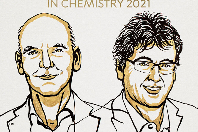 Нобелевскую премию по химии присудили за развитие асимметрического органокатализа
