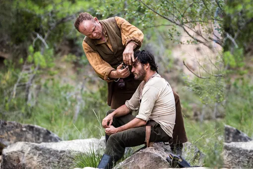 «Братья Систерс» / The Sisters Brothers (2018)