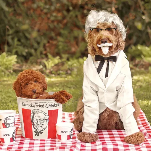 Полковник Сандерс KFC Полковник Сандерс KFC
