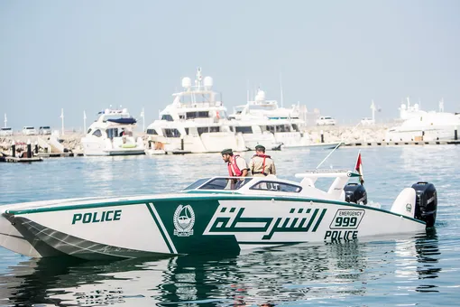 Полиция Дубая оштрафовала водителя через инстаграм*