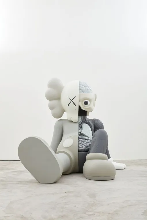 KAWS COMPANION