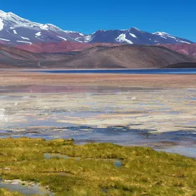 Вулкан Безымянный может начать извержение в ближайшие 10 дней