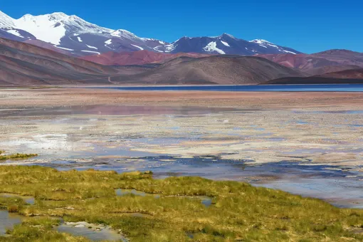 Вулкан Безымянный может начать извержение в ближайшие 10 дней