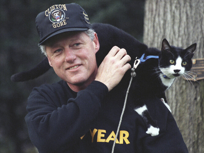 President Bill Clinton, wearing pullover sweatshirt and a Clinton-Gore administration baseball hat, smiles while taking a walk on the White House grounds with the First Pet, Socks the Cat, with black fur, white face, and blue collar, perched on his shoulders, with a plaque mounted to a tree behind them, Washington, District of Columbia, December 20, 1993. Courtesy National Archives. КРЕДИТ Smith Collection/Gado/Getty Image