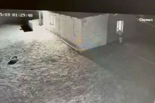В Казахстане впервые завели уголовное дело по статье о сталкинге