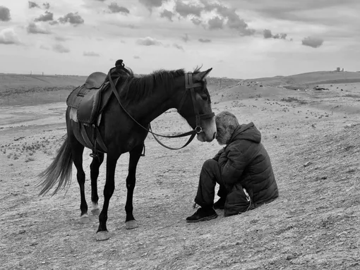 Шаран Шетти, «Склеивание» — 1-е место в номинации «Фотограф года»