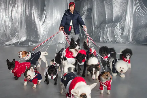 Moncler выпустили коллекцию зимней одежды для собак