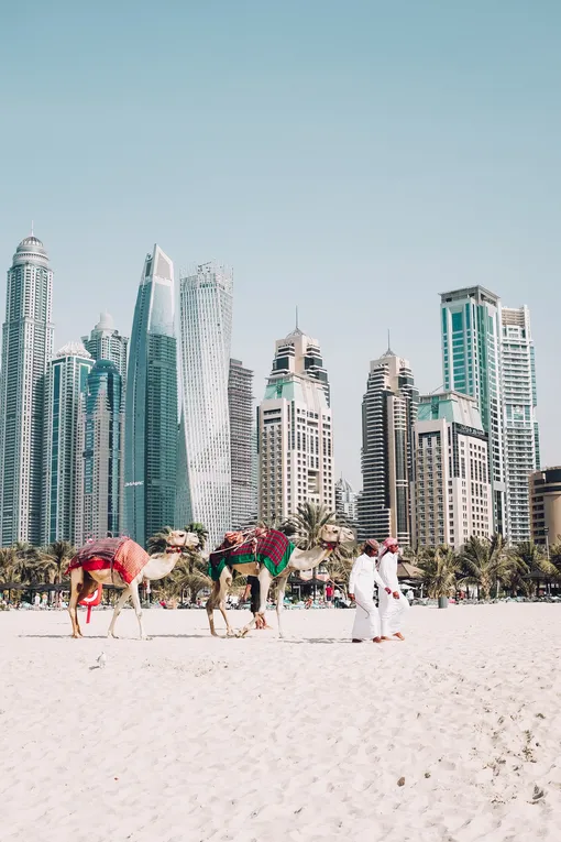 Рынок недвижимости в Дубае