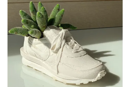 Кактусы в кроссовках: дизайн-студия выпускает цветочные горшки в виде вещей Nike, Prada и Louis Vuitton