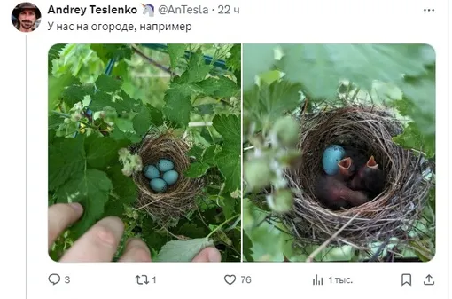 Соцсети Соцсети