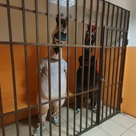 В Сочи на 5 суток арестовали коня и осла В Сочи на 5 суток арестовали коня и осла