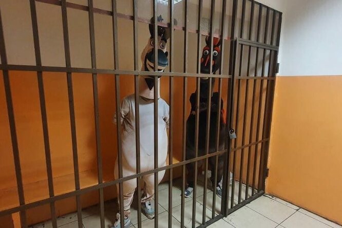 В Сочи на 5 суток арестовали коня и осла В Сочи на 5 суток арестовали коня и осла