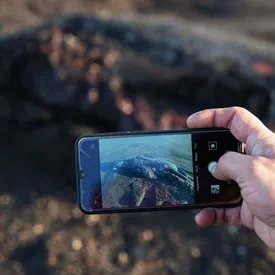 Ученые: 95% обитателей морского дна Авачинской бухты на Камчатке погибли из-за экологической катастрофы