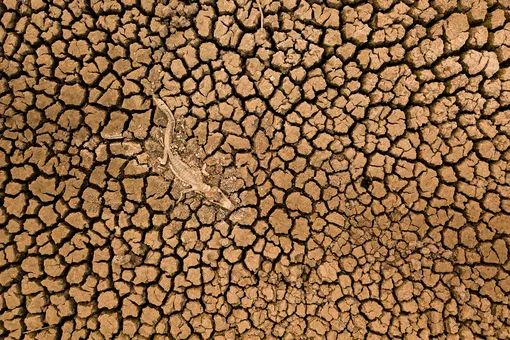 Landscape first place: Daniel De Granville Manço, BrazilThe carcass of a Pantanal alligator in the dry soil on the banks of the Transpantaneira highway, municipality of Poconé (Mato Grosso). The photo was taken with a drone on 4 October 2020, at the height of the droughts that hit the Pantanal that yearPhotograph: Daniel De Granville Manço/TNC photo contest 2021