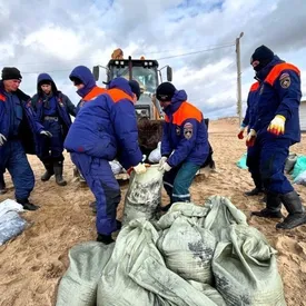 В Краснодарском крае обнаружили новые выбросы мазута на 7 км берега В Краснодарском крае обнаружили новые выбросы мазута на 7 км берега