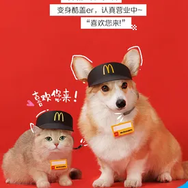Китайский McDonald's представил игрушки для животных Китайский McDonald's представил игрушки для животных