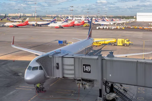 Аэропорт Шереметьево предложил снимать с рейсов пассажиров со сверхнормативной ручной кладью