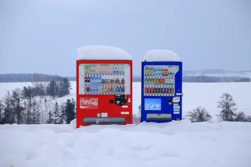 «Напитки из Черноголовки» хотят создать альтернативу Coca-Cola. Компания подала заявку на регистрацию бренда RuCoLa
