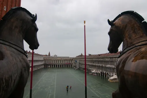 Площадь Святого Марка в Венеции закрыли из-за наводнения. Власти предупреждают о новом подъеме уровня воды