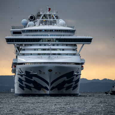 Diamond Princess на карантине: Более 3500 человек оказались заперты на круизном лайнере у берегов Японии. Рассказываем, что там происходит