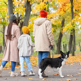 Исследование: родители все чаще полагаются на ИИ-советы при воспитании детей