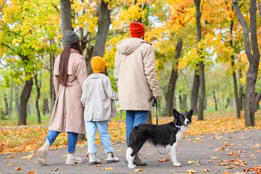 Исследование: родители все чаще полагаются на ИИ-советы при воспитании детей Исследование: родители все чаще полагаются на ИИ-советы при воспитании детей