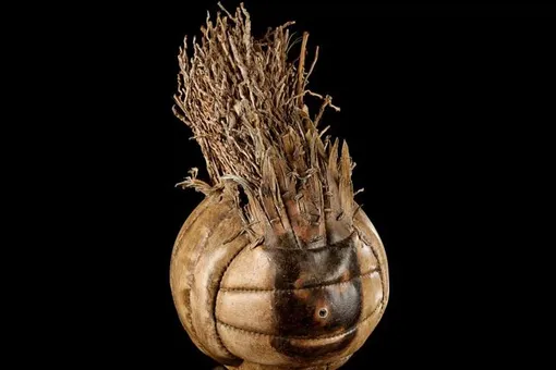 Волейбольный мяч из фильма «Изгой» с Томом Хэнксом продали на аукционе почти за 22 миллиона рублей