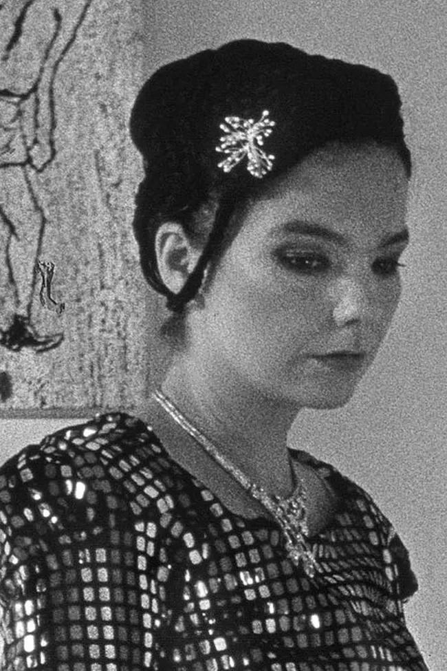 Правила жизни Бьорк Гудмундсдоттир