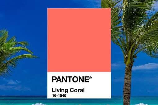 Институт цвета Pantone назвал главный цвет 2019 года