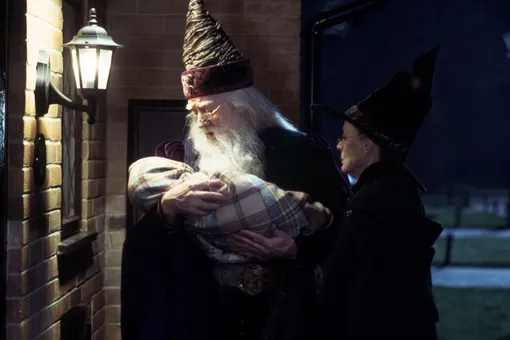 «По крайней мере, cына всегда будут запоминать»: в Кемерове родился Гарри Поттер
